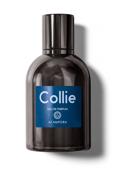 Collie